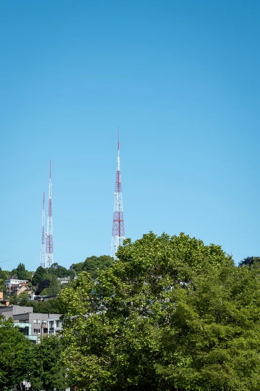 Communication towers rising above green trees.