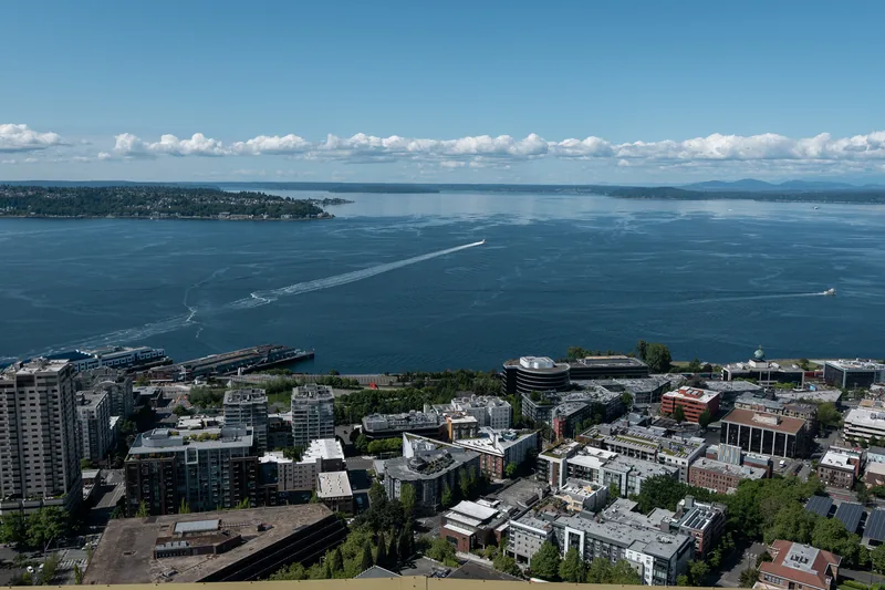 A city neighborhood overlooking a broad blue bay.