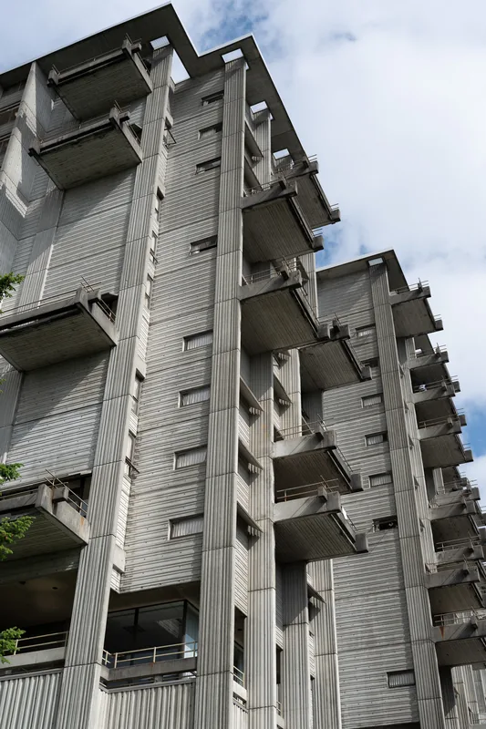 Photograph DSC00605