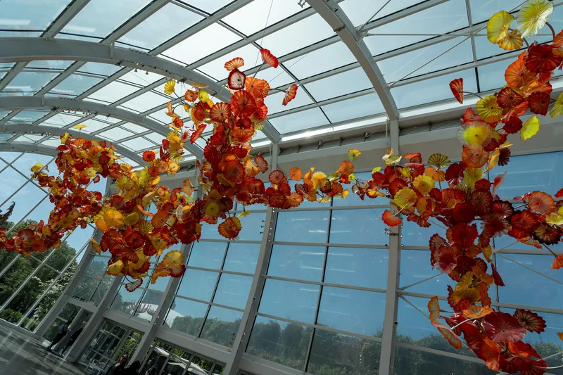 Orange glass flowers suspended beneath a glass roof.
