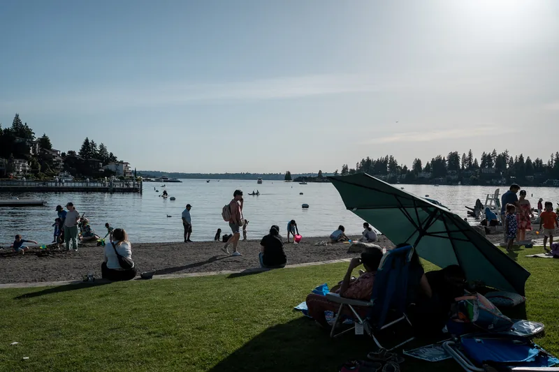 People relaxing on a grassy shore beside the water.
