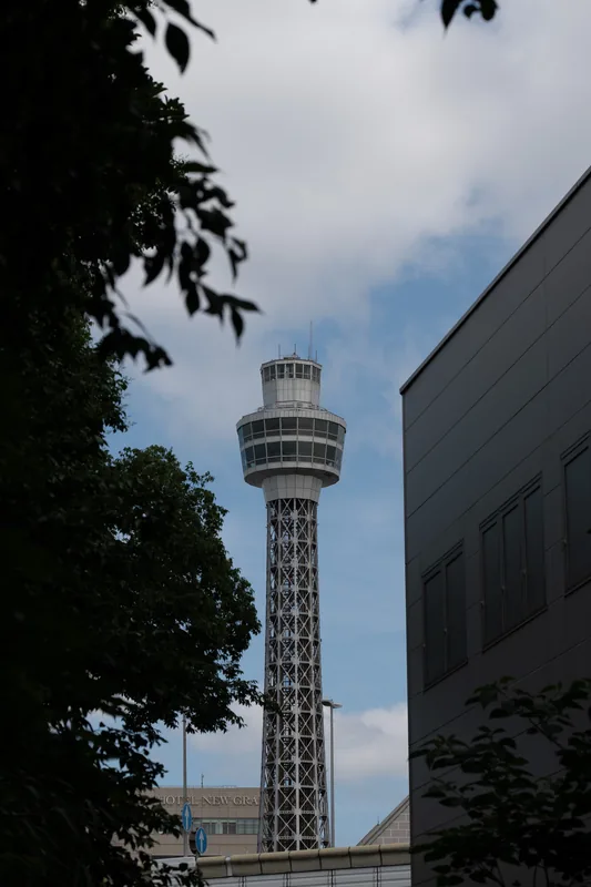 Photograph DSC00768