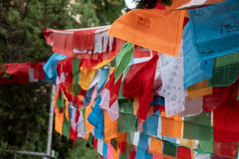 Colorful fabric flags suspended among trees.