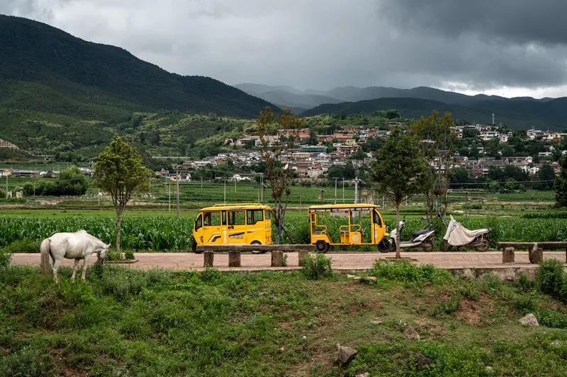 Grazing horses near a village at the foot of mountains.