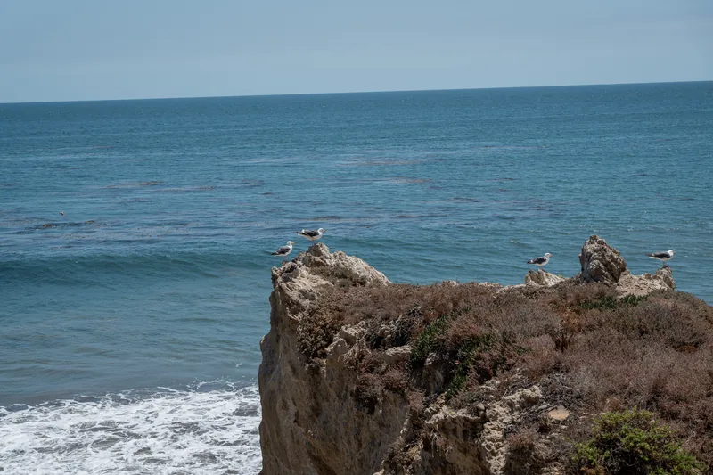 A rugged coastal headland above blue water.