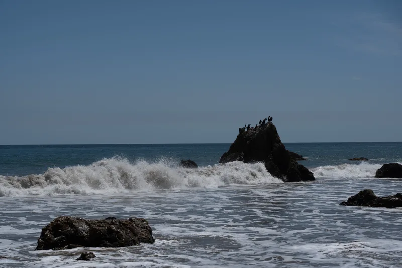 Photograph DSC02044